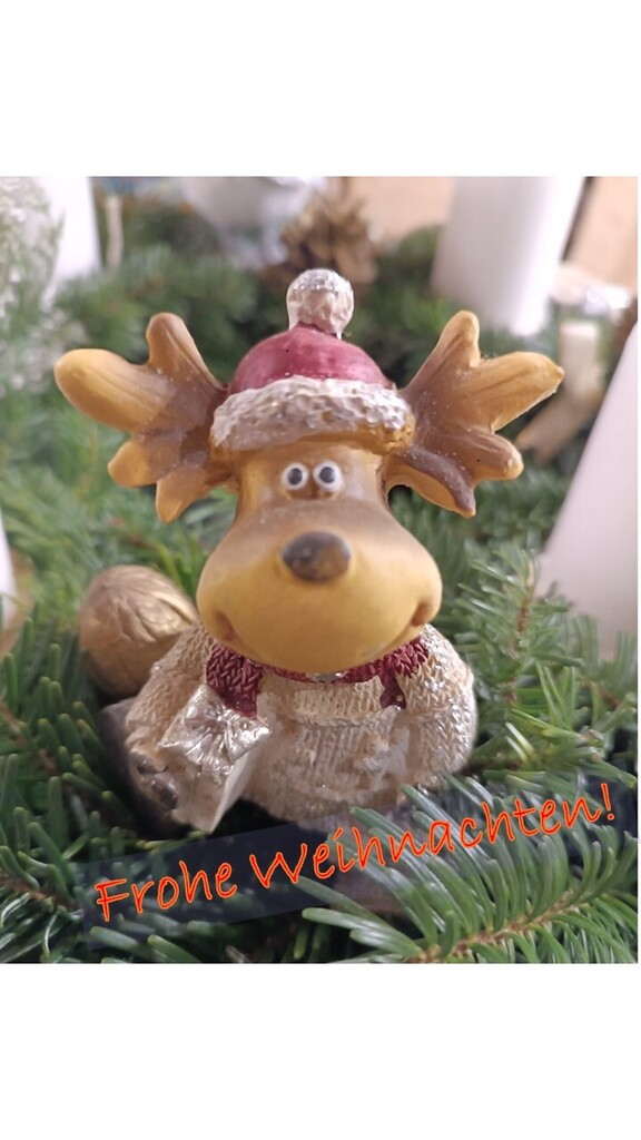 Foto - bei Klick Popup Weihnachtselch 2